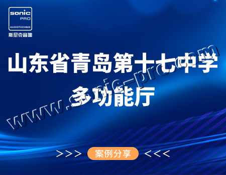 山东省青岛第十七中学多功能厅-案例分享