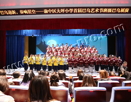 重庆市大坪小学多功能报告厅案例分享