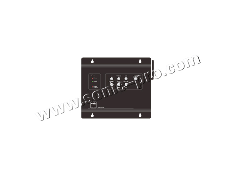 IP1811TB  IP网络终端（2*15W)