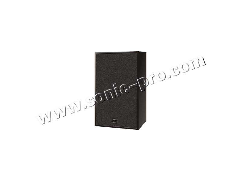 IP30S  IP网络POE木质音箱