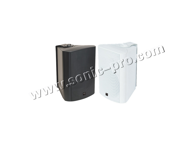 BS-924壁挂喇叭（全天候）
