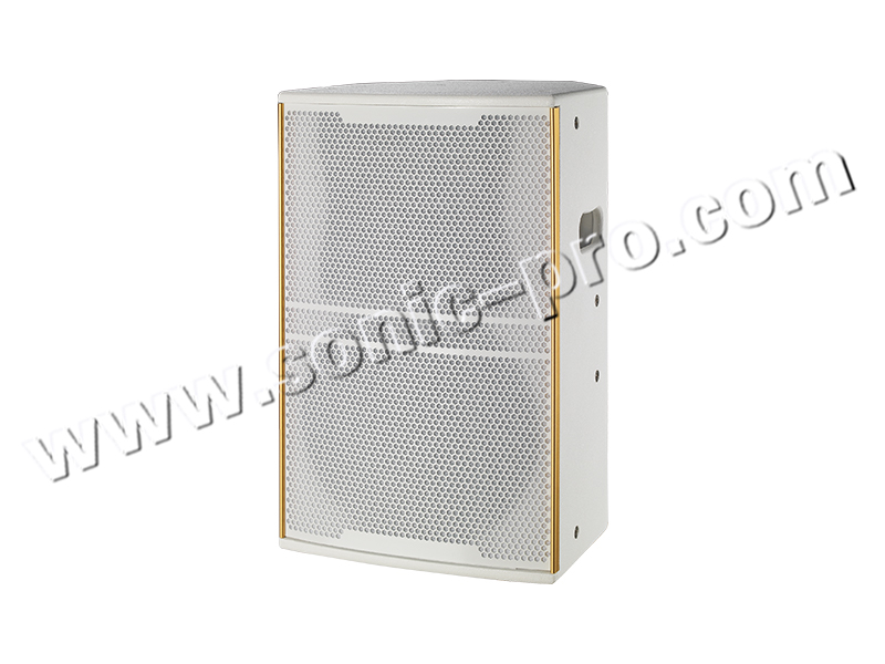 TW-10II 后导式全频音箱 （单10寸全频）